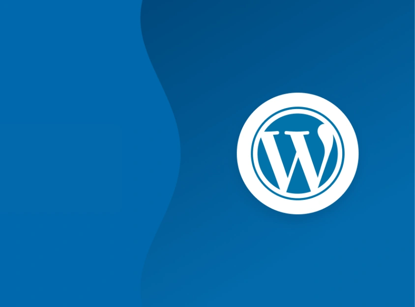 WordPress Developer Launchpad Masterclass